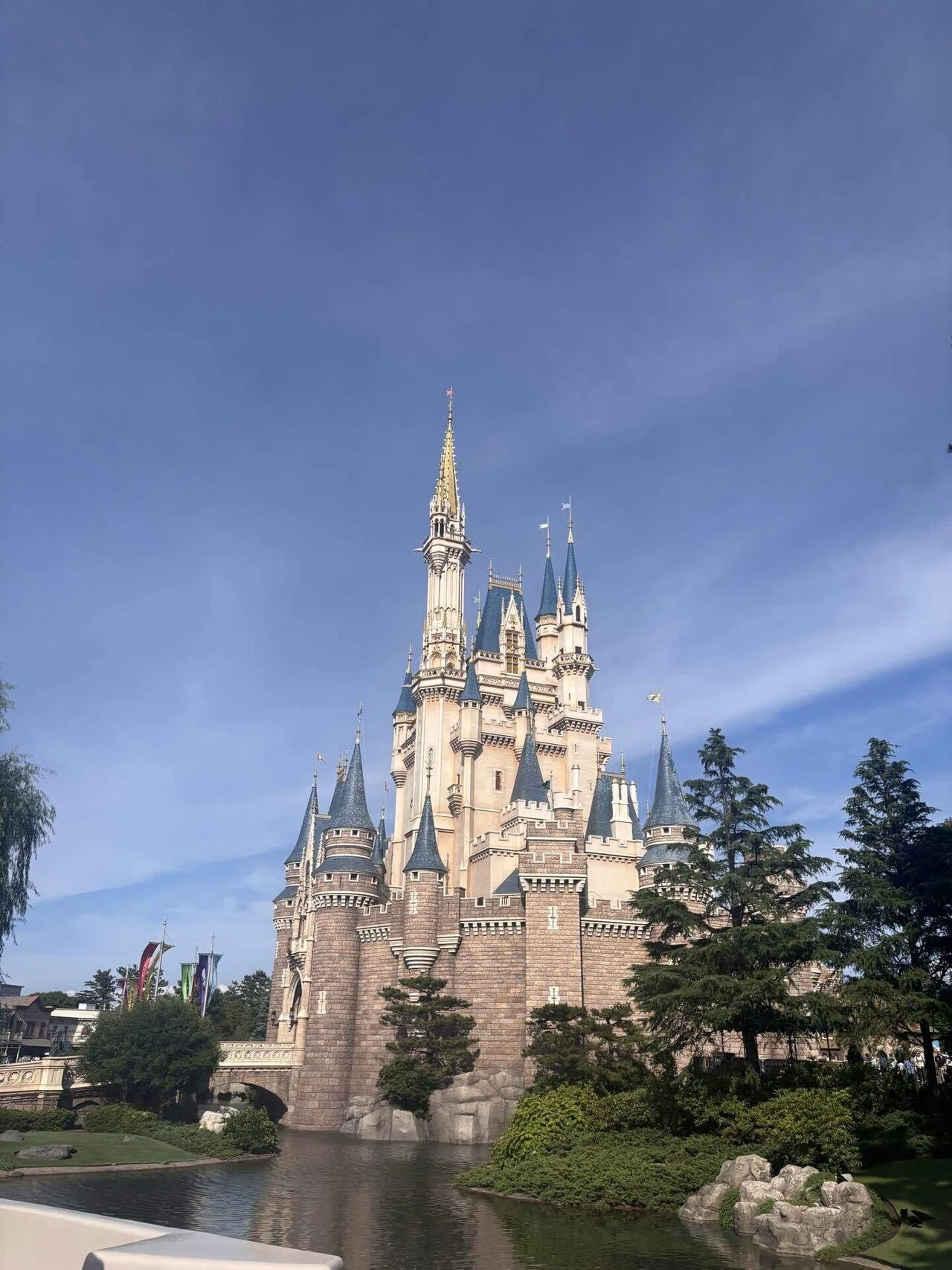 世界のディズニーランド｜a