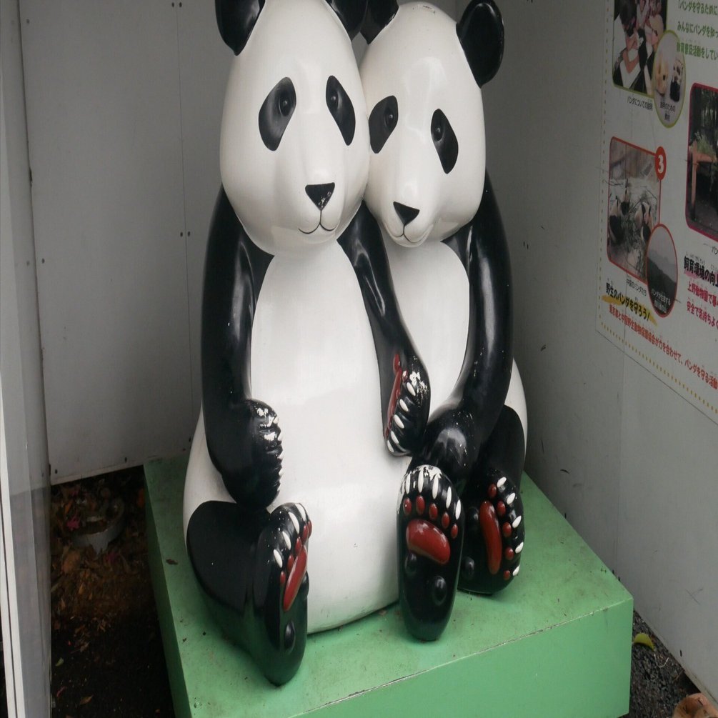 上野動物園のパンダに関して〜人気に白黒つけるものではない