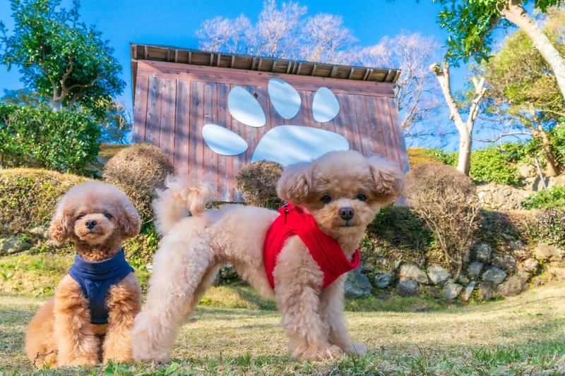ドライブ行きたいね 東伊豆編 ひめりんご 平蔵 Himeringo Heizo Note ドライブ行きたいね 東伊豆編 ひめりんご 平蔵 Himeringo Heizo Note