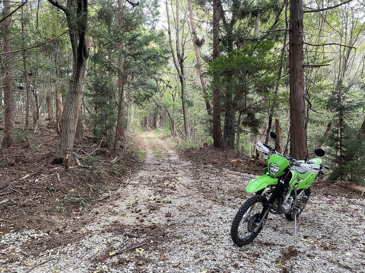 2025年に買ったバイクの話｜こばやし