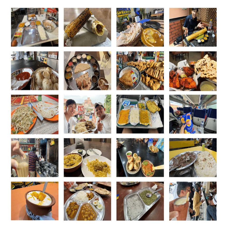 旅行記:インド🇮🇳(2025年8月7日〜18日)｜Yusuke's Blog(元JOCV🇿🇦)