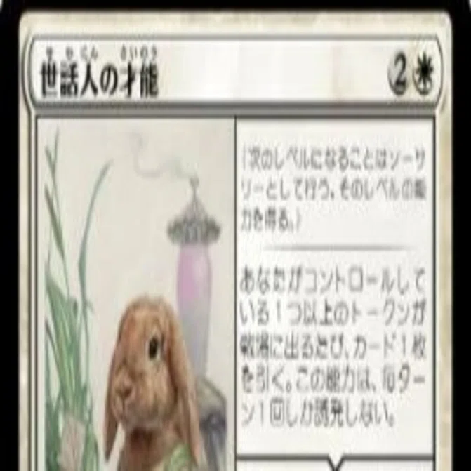 MTGスタンダード】白単コントロールのデッキ紹介【アバター環境