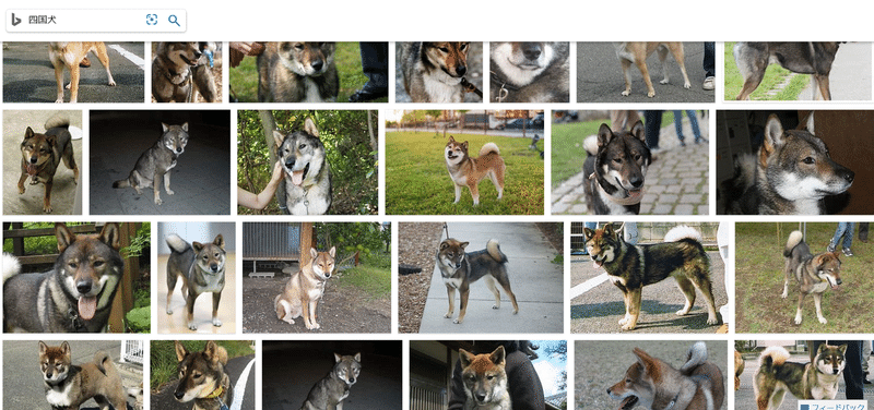 飼い犬は雑種ではなく四国犬だったのかもしれない Corobuchica Note