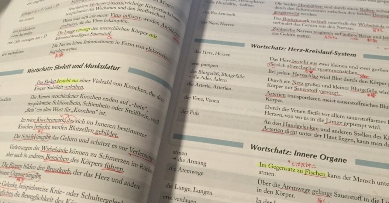 ドイツ語初級から上級まで使ってきた私の単語帳のはなし さくさくら Note