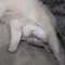 Sho｜静かに燃える挑戦者