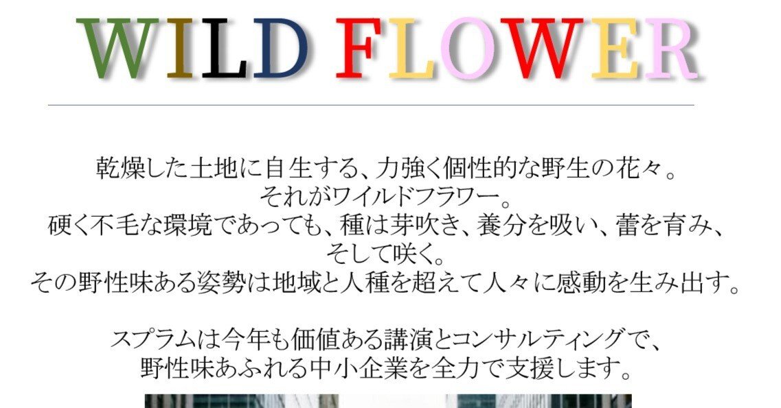 2026年の新年のメッセージはWILD FLOWER｜中小企業診断士 竹内幸次の