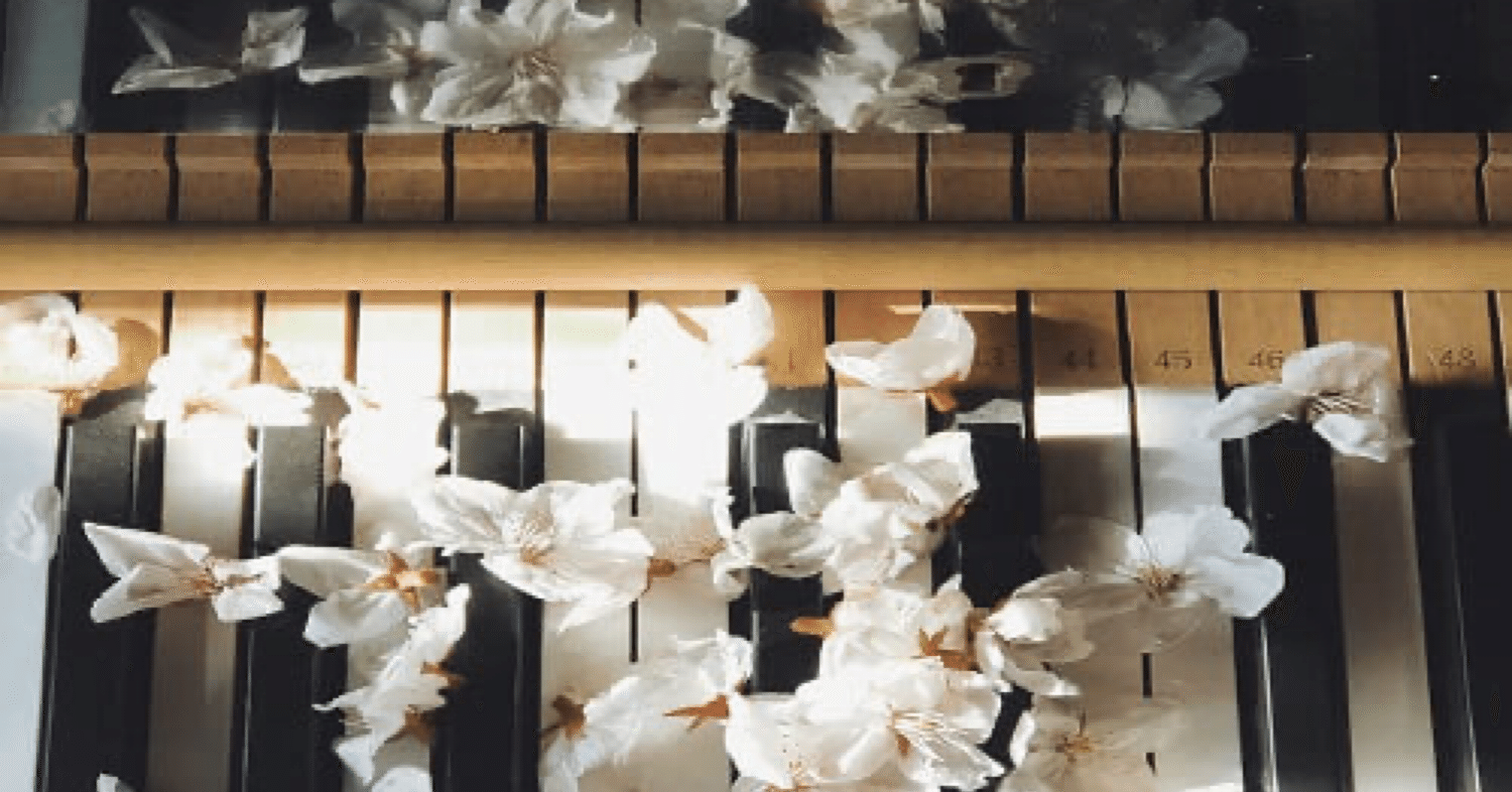 アルバムレビュー】haruka nakamura「スティルライフⅡ」｜re:Sonance