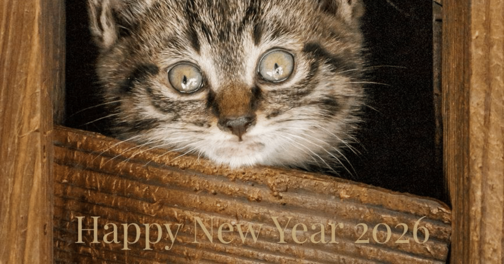 a88d3ad8884ba6bcc3a4effdda35da