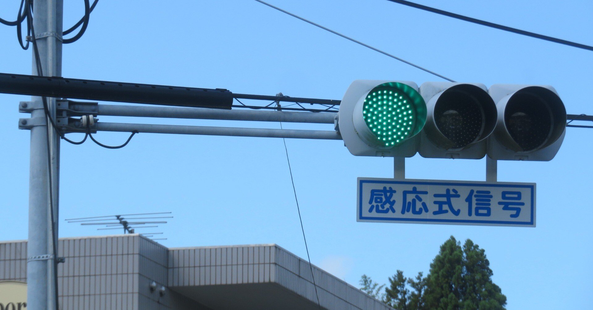 25095】新生保育園前【山口県の信号機】｜るーと