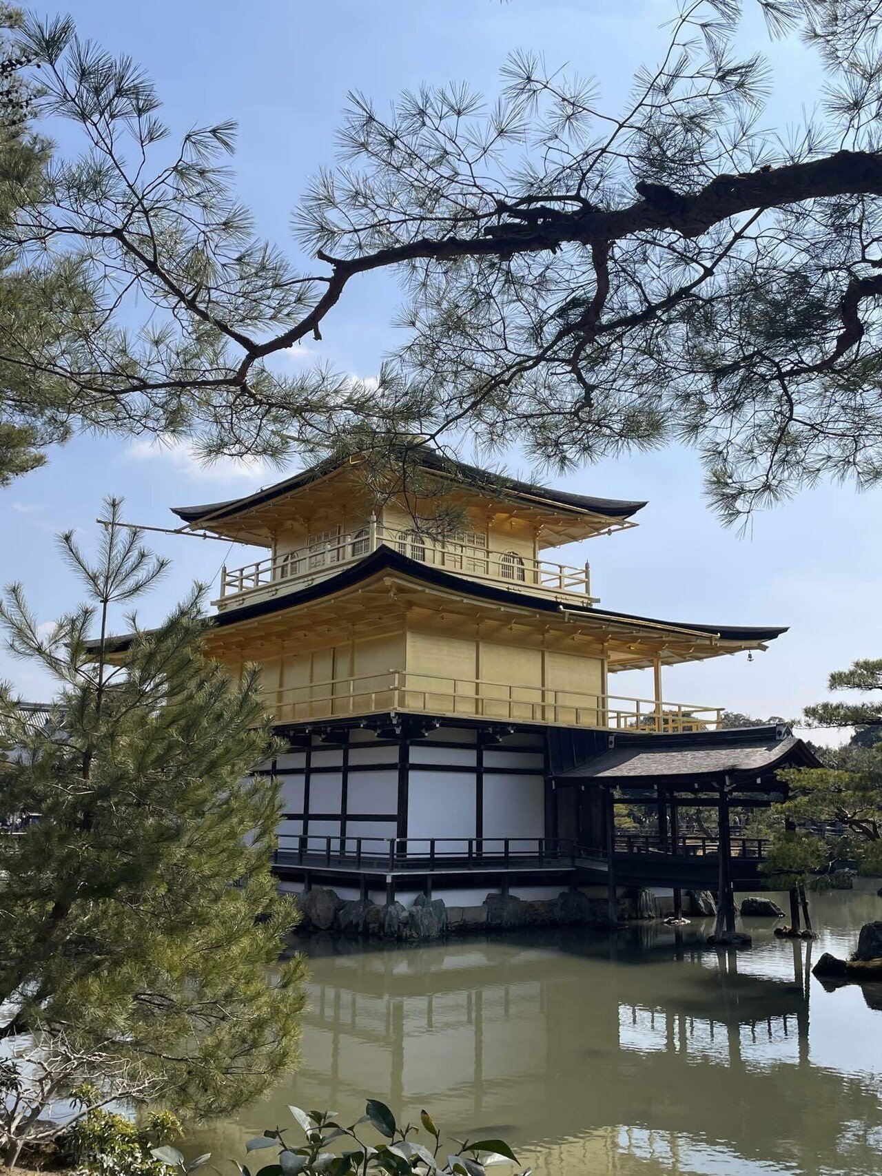 金閣寺（鹿苑寺）方丈を訪ねて。 たくさん歩いた1日｜京都 ひとり