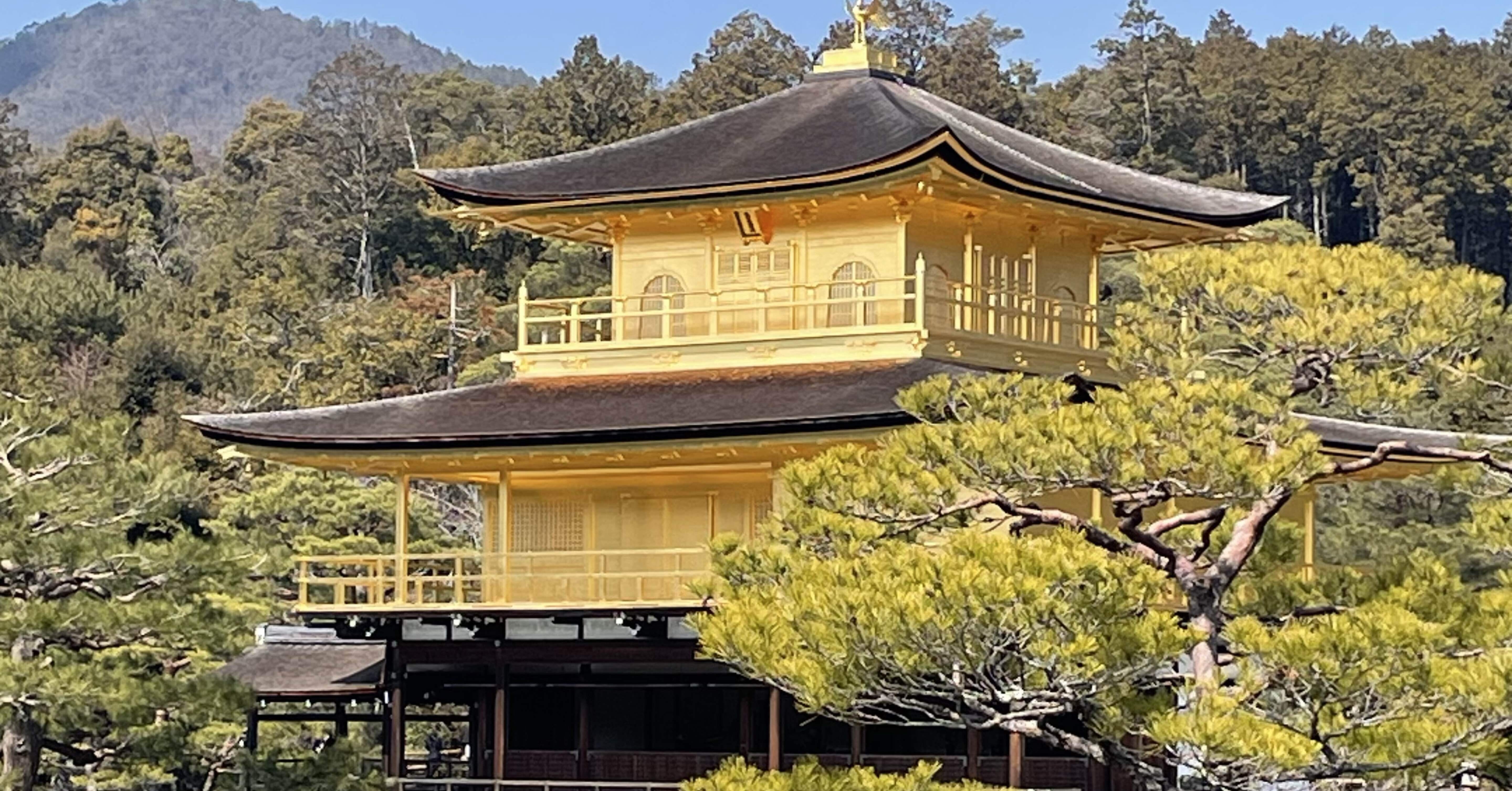 金閣寺（鹿苑寺）方丈を訪ねて。 たくさん歩いた1日｜京都 ひとり