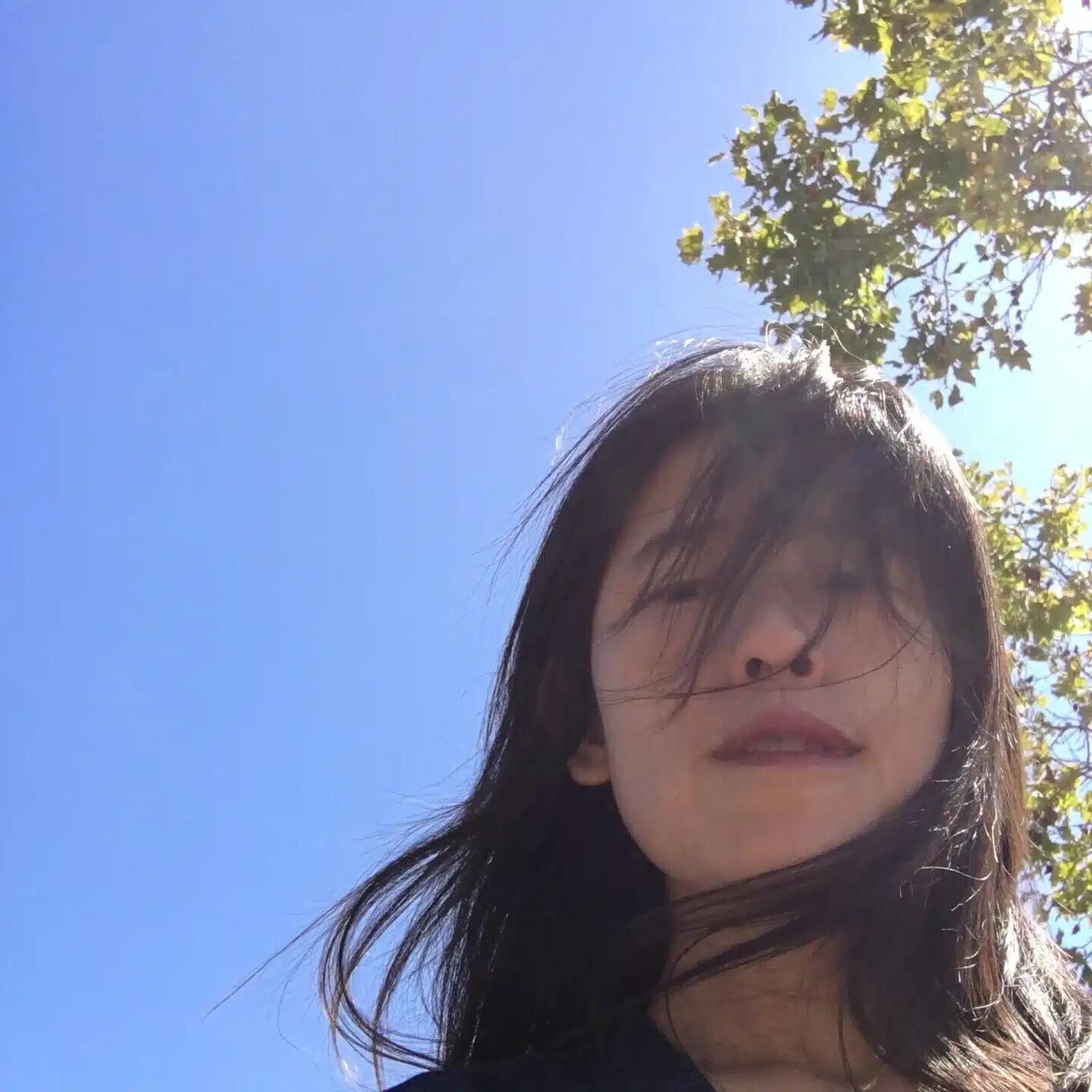 tomoko ashida