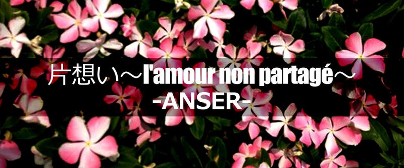 片想い～l'amour non partagé～ Spin-off『ANSER』