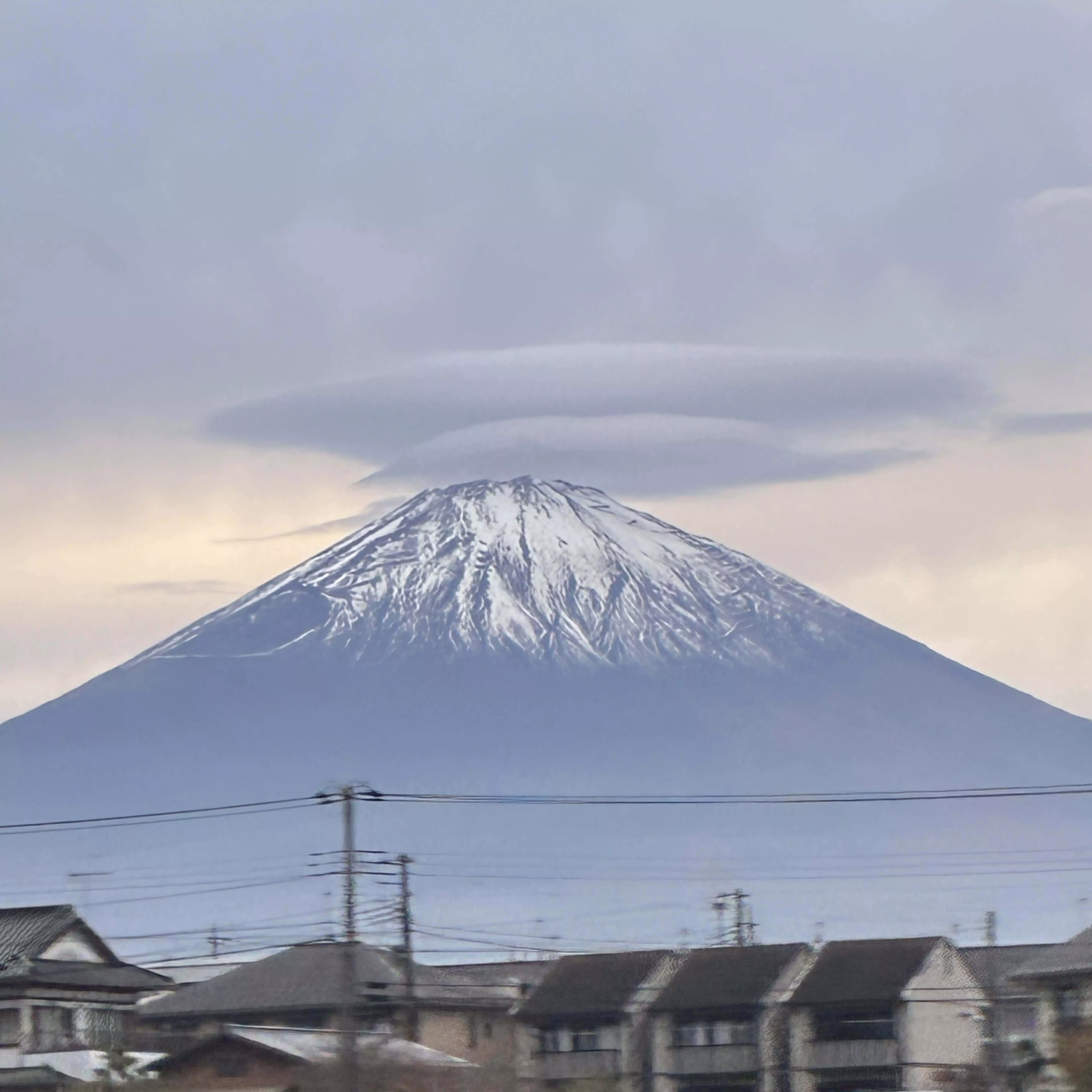 囮