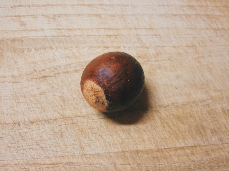 ０円園芸 アボカドを発芽さす ぱねかみ Note