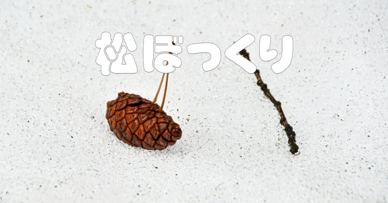 松ぼっくり油彩画 【公式通販】