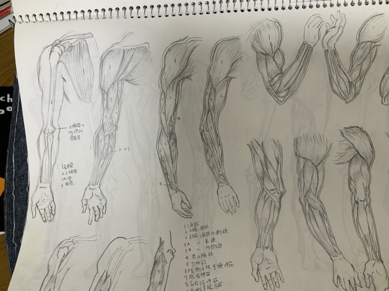 下手だった絵を載せながら 約10年かけてイラストレーターになったはなしをします 喜田 なつみ 旧 Kinatsumi Note 下手だった絵を載せながら 約10年かけてイラストレーターになったはなしをします 喜田 なつみ 旧 Kinatsumi Note