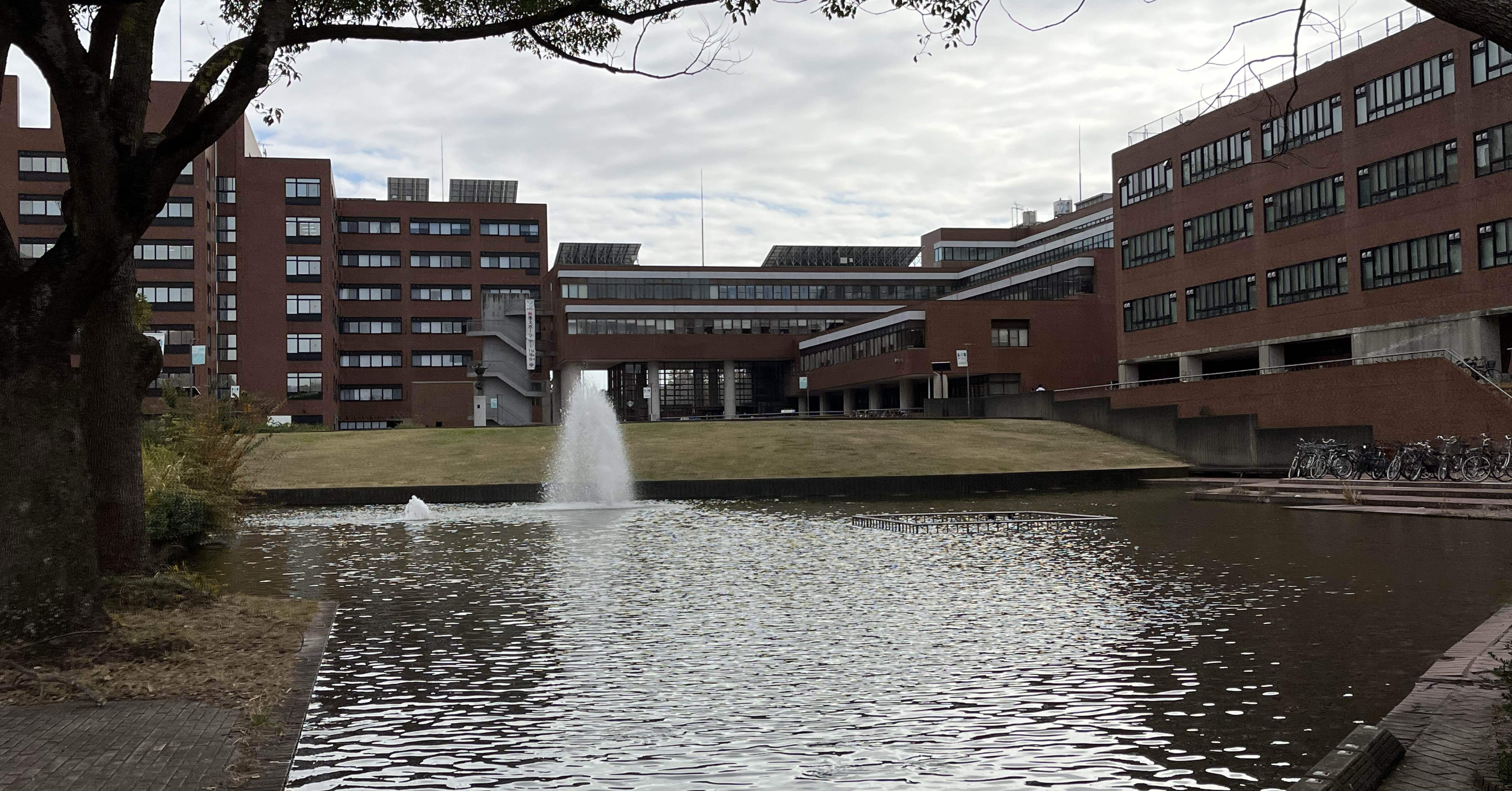 筑波大学 推薦入試 8年分（2017-2024） 2026年度版】筑波大学推薦入試 合格発表速報を行いました！ | つくいえ