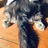 犬鳴和音