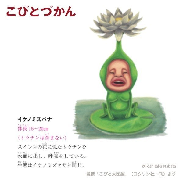 １日１コビト紹介 イケノミズバナ こびとづかん公式note Note