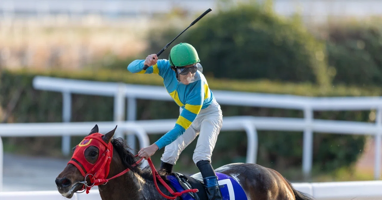 笠松競馬場 第29回 ライデンリーダー記念｜ᗰყαƙυᗰყαƙυ