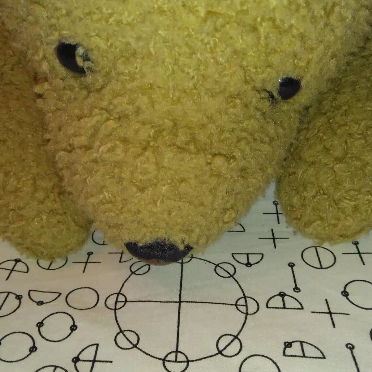 Kumakichi