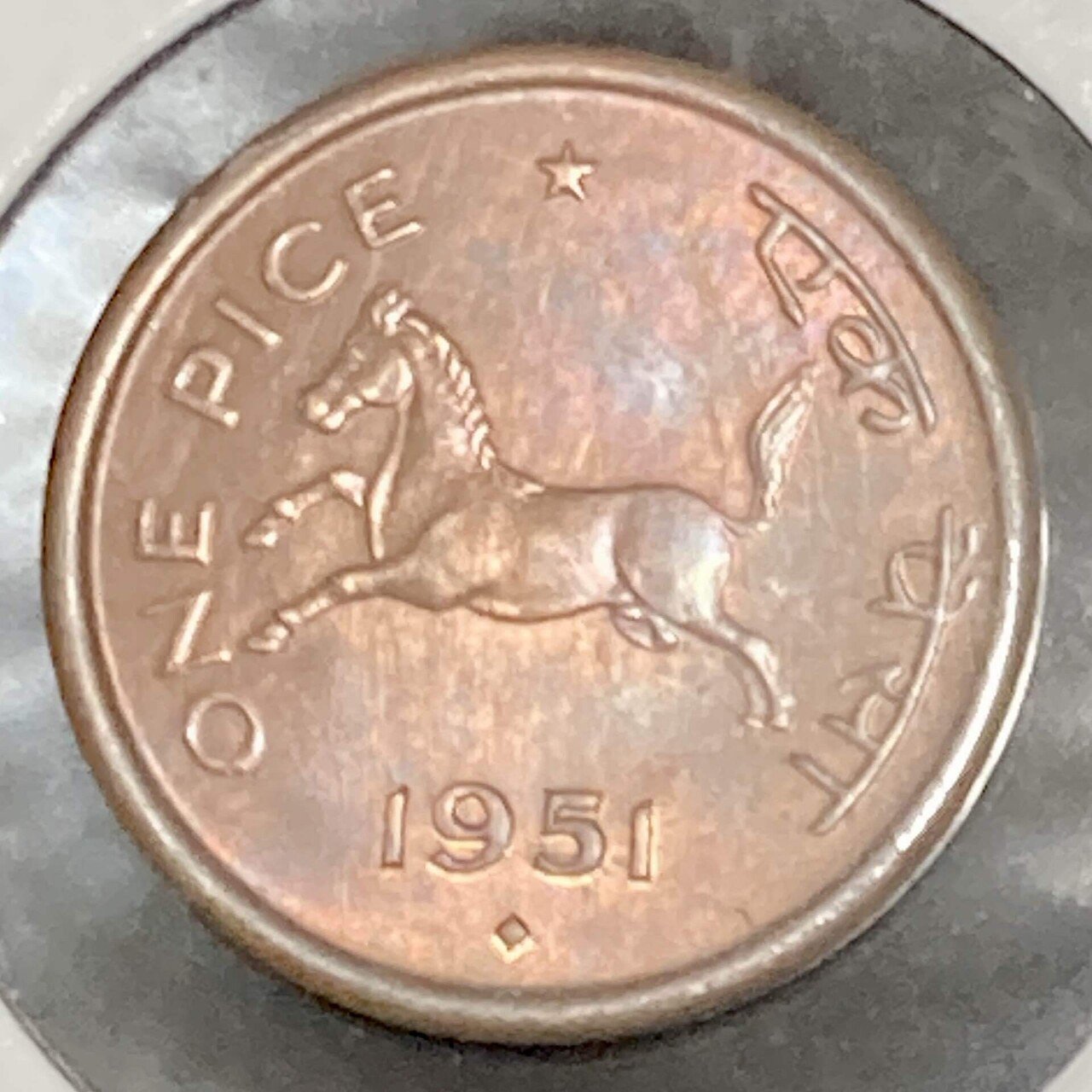 正月恒例(？) 干支のインドコインー馬/New Year's Tradition(?) Indian