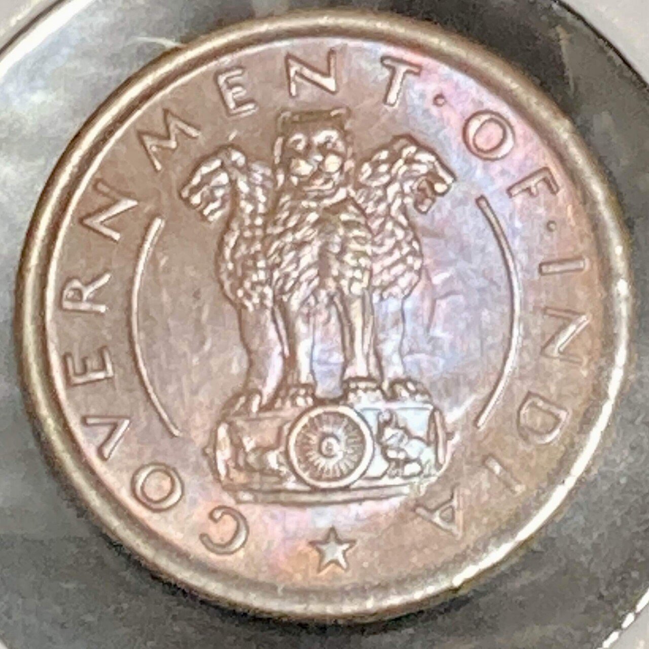 正月恒例(？) 干支のインドコインー馬/New Year's Tradition(?) Indian