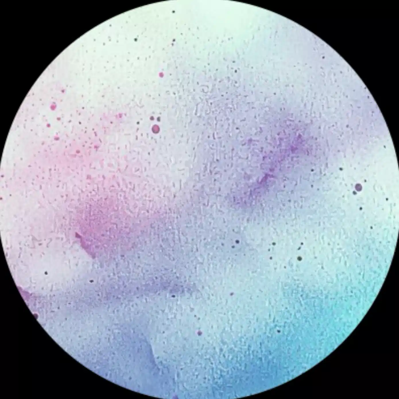 水音
