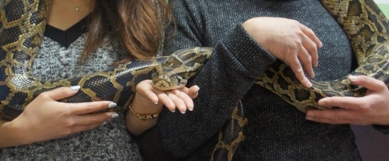 土日おすすめ 人生で1度はヘビを首に巻いて 写真を撮りたいと思っているあなたに 体感型動物園izoo ゆう 旅 写真 Note 土日おすすめ 人生で1度はヘビを首に巻いて 写真を撮りたいと思っているあなたに 体感型動物園izoo ゆう 旅 写真 Note