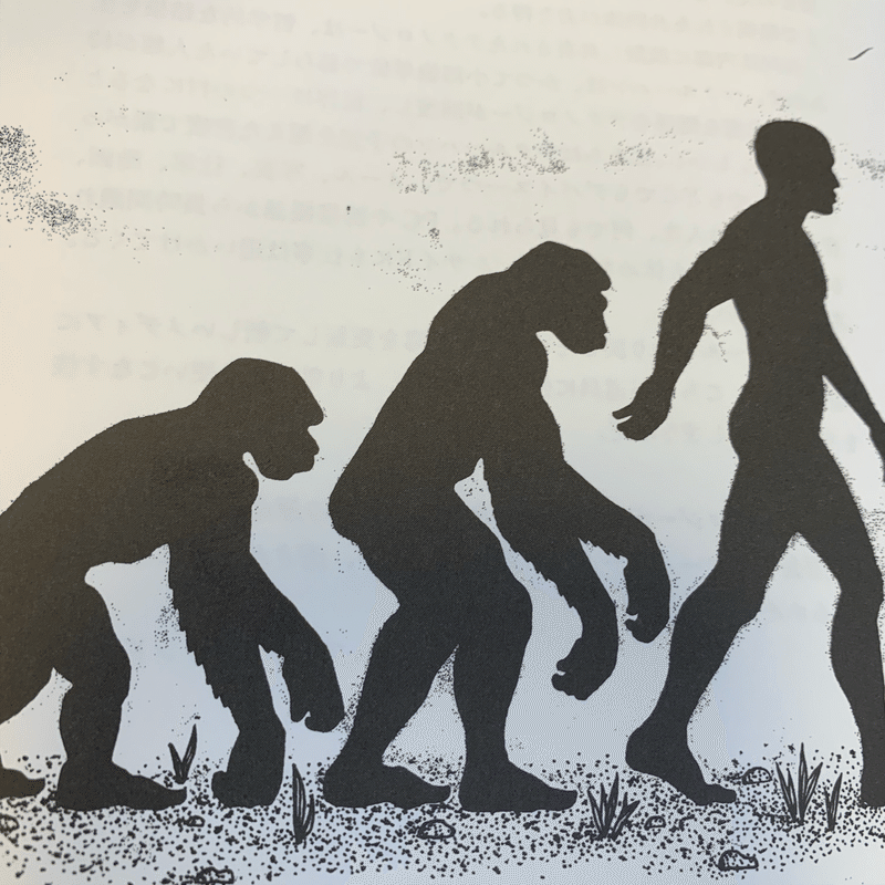 人間は進化するならば退化もする 人間はどのように退化するか をイラスト化にしなさい しらす Note