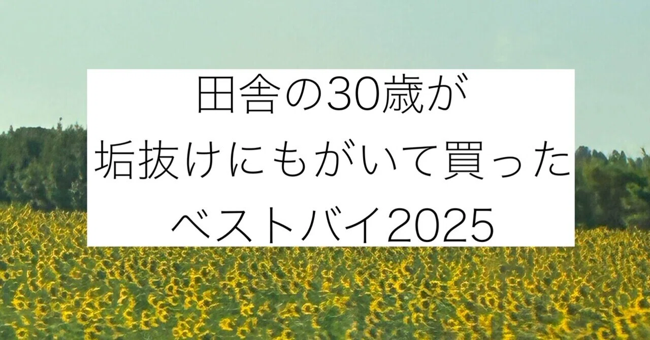【初投稿】田舎の30歳が垢抜けにもがいて買ったベストバイ2025｜opipi