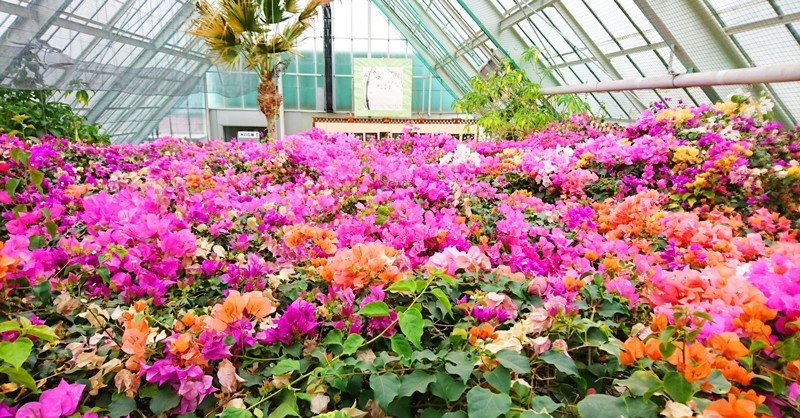 ジェルネイルのオフ後の痛み まるこ Note