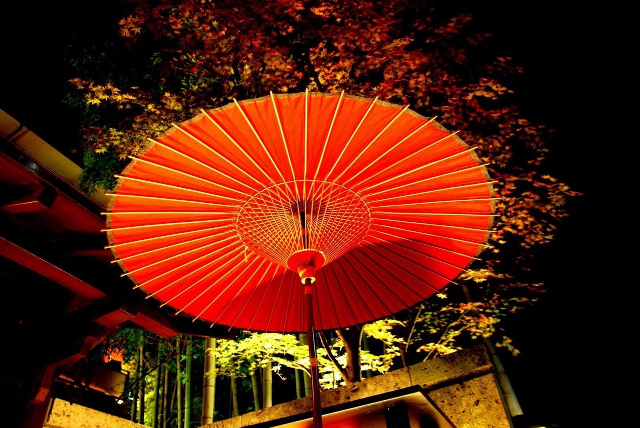 夜の楓と野点傘 神楽坂らせん Note