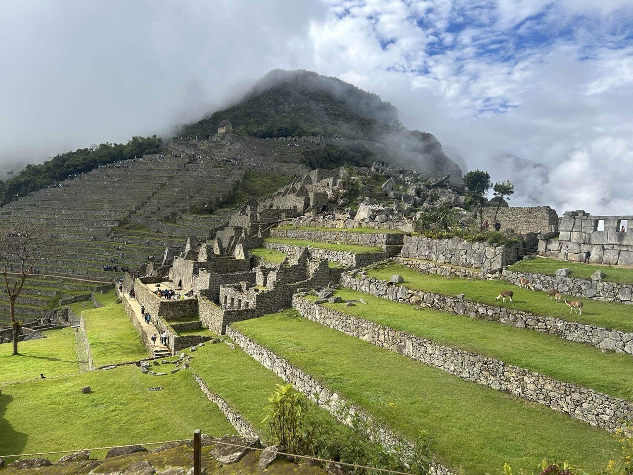 南米旅行記4〜マチュピチュ編(前編)〜｜レジュメ