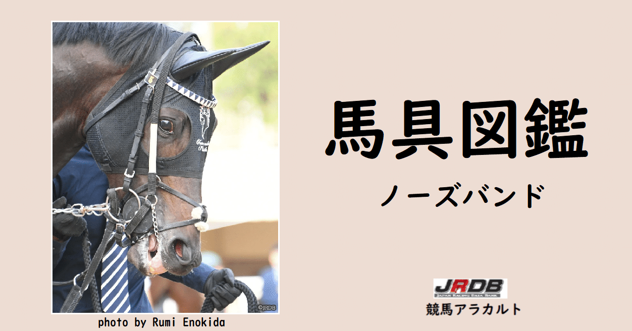 JRDB馬具図鑑~ノーズバンド|JRDB 競馬アラカルト JRDB馬具図鑑~ノーズバンド|JRDB 競馬アラカルト