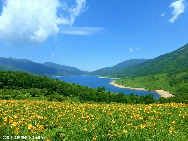 初夏を彩るニッコウキスゲの群落と天辺に浮かぶ碧き湖 群馬県のおススメ観光 スポット第2位は 野反湖 Episode 6 てっぴぃ 日本の美しい風景を紹介する旅ライター Note 初夏を彩るニッコウキスゲの群落と天辺に浮かぶ碧き湖 群馬県のおススメ観光 スポット第2位は 野反湖 Episode 6 てっぴぃ 日本の美しい風景を紹介する旅ライター Note