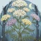 Achillea