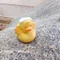 お土産買いすぎ