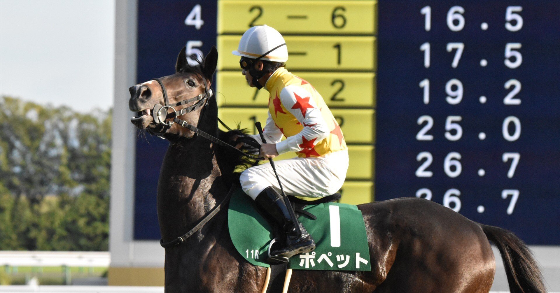 5ed79691ae2258ec3d9625e6e3463f