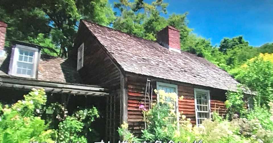 ターシャテューダーのようなおばさま Kotomi Note