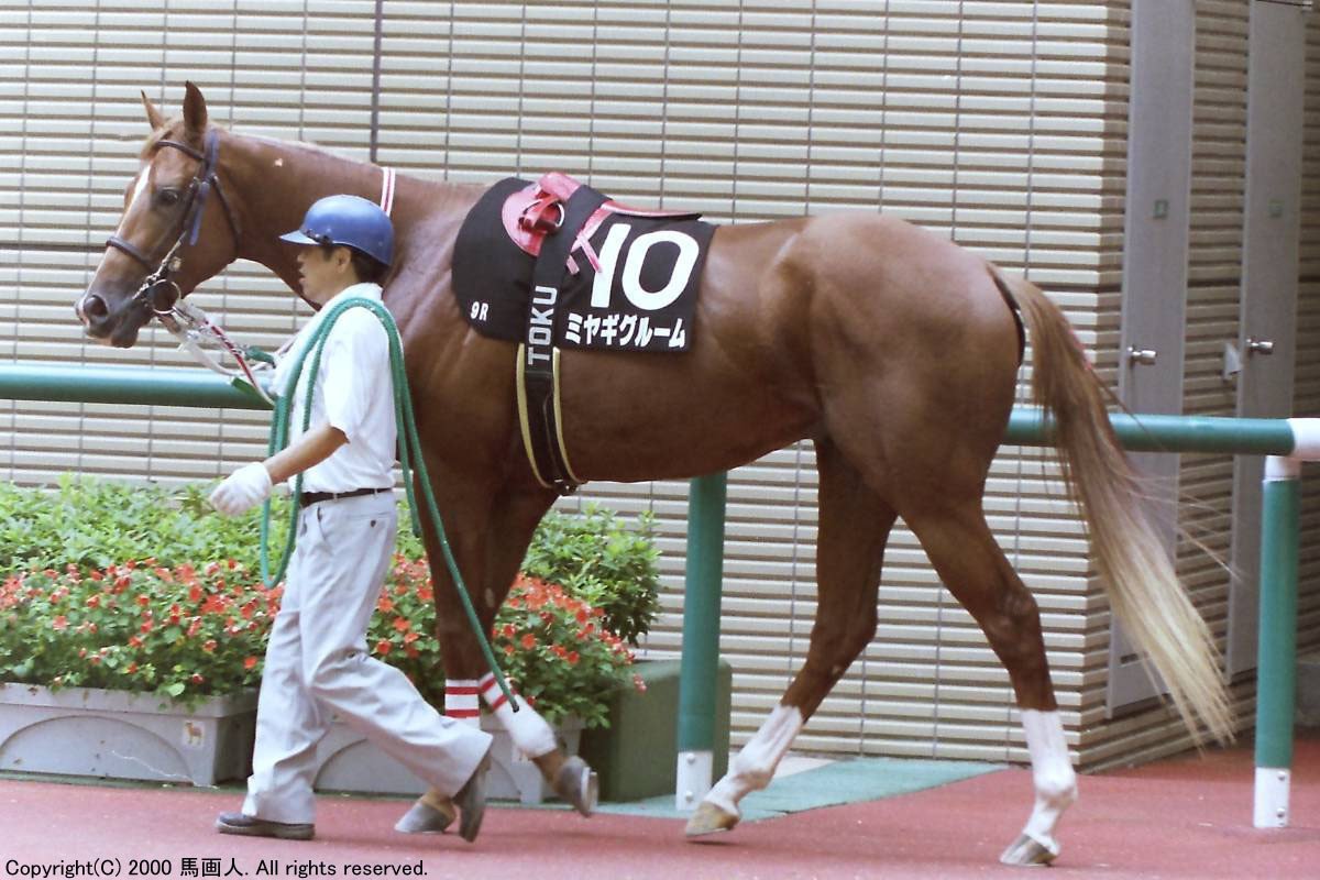 尾花栗毛 Album Vol 38 Miyagi Groom 馬画人 まがじん Note