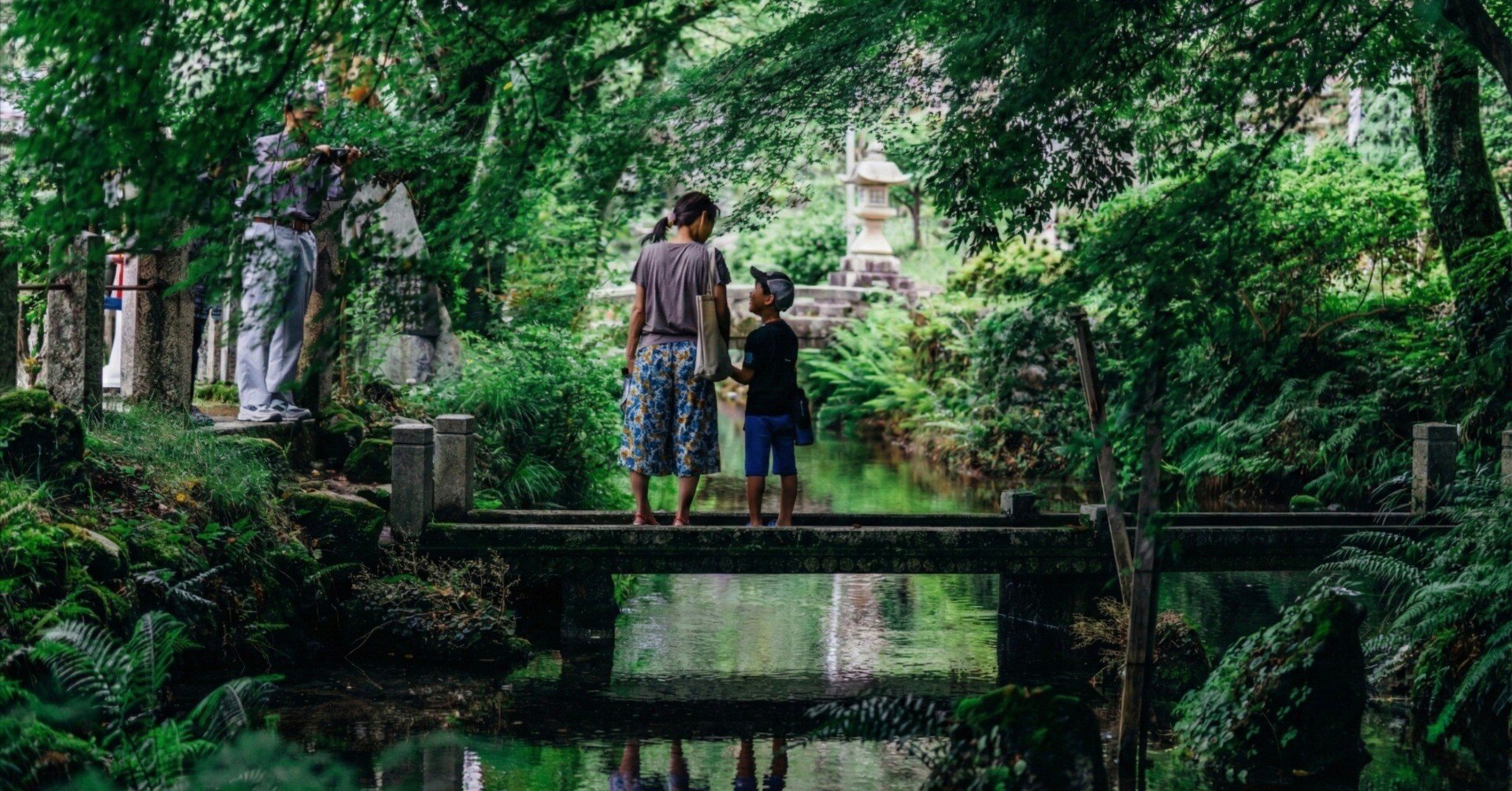 清流に咲く水中花 ── 醒ヶ井の梅花藻と夏の街歩き（滋賀）｜Sakak