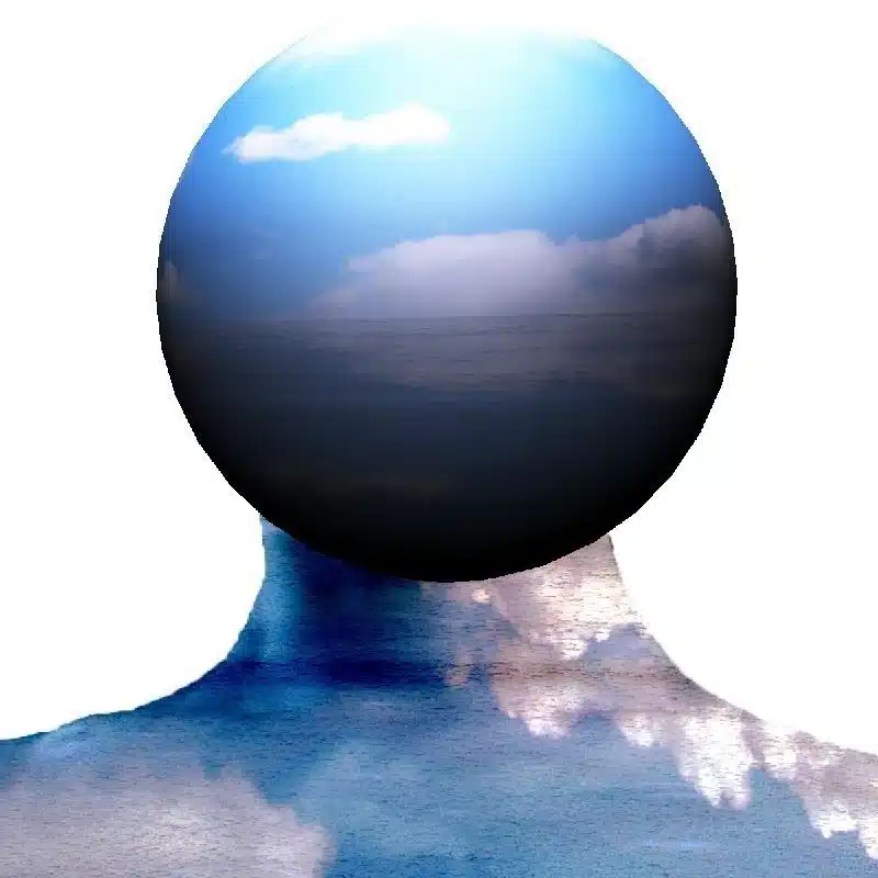 わわ・しーる