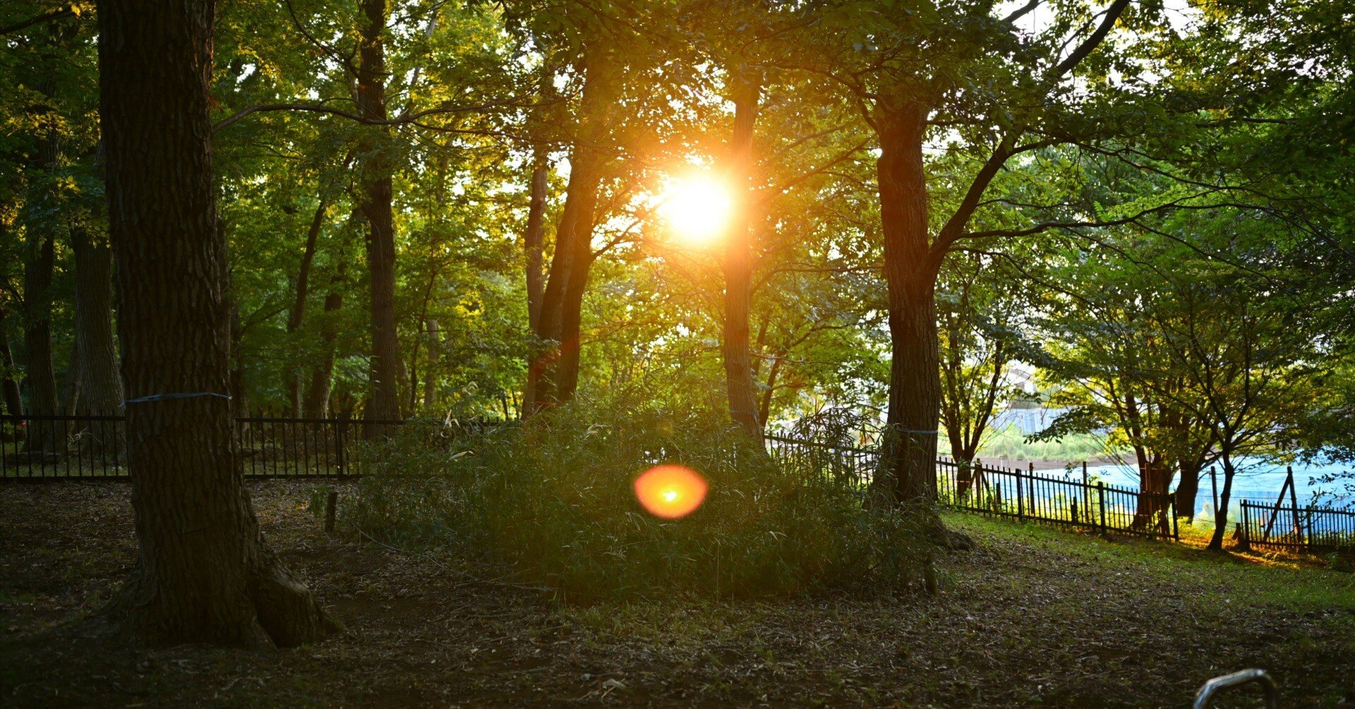 Z35mmF1.8で夕陽 #172_2508｜(´・ω・｀)