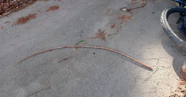 ヤンズのnoteアップデート一覧