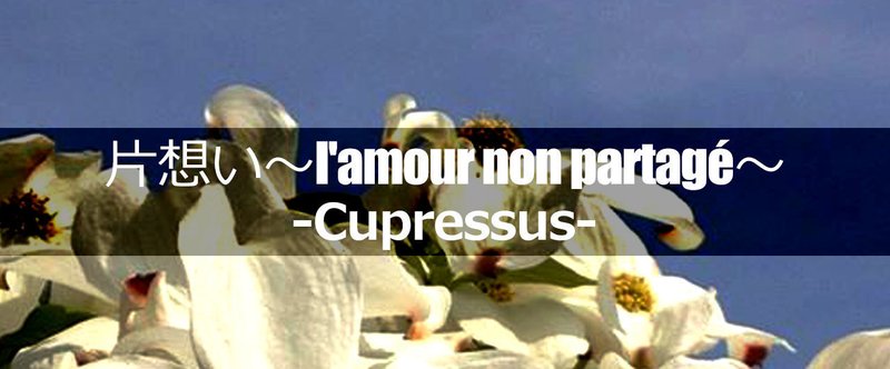 片想い～l'amour non partagé～ Spin-off『Cupressus』