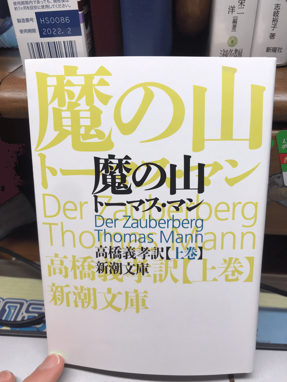 魔の山」読書メモ①｜ぴょんきち