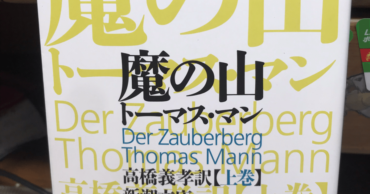 ドイツ語 トーマス・マン全集 検：魔の山／世界文学／ブッデン