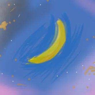 うさぎさん⭐︎／usagisantoka